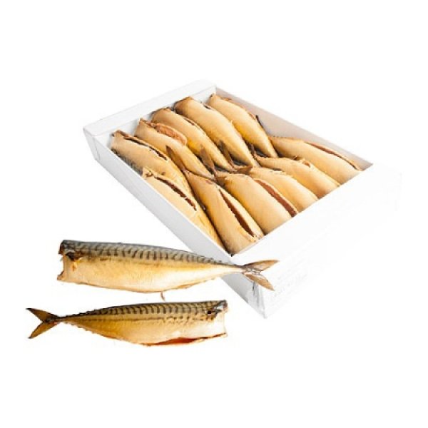 Makrela &uacute;den&aacute; za studena