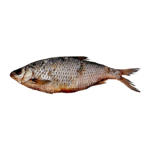 Su&scaron;en&aacute; vobla